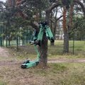 ФОТО | Самокаты Bolt оказались припаркованы… на дереве