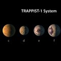 NASA обнаружило семь новых планет, похожих на Землю: три из них могут быть обитаемы