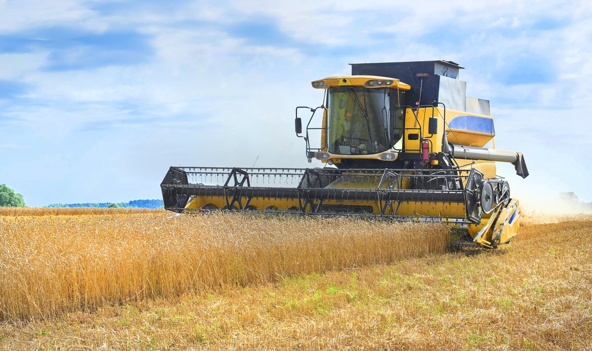 Латвия запретила импорт российской сельскохозяйственной продукции, Литва строже проверяет зерно из России.