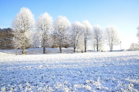 Ilus talveilm Viljandi lossimägedes