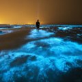 ФОТО | Ночные посетители пляжа в Ирландии увидели редкое природное светошоу