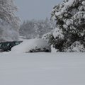 ФОТО | За ночь выпало 30 см снега: на Сааремаа ввели особый режим обслуживания дорог