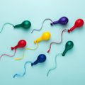 Meestekliiniku arst kinnitab: meeste spermakvaliteet on viimase sajandi jooksul märkimisväärselt kehvemaks muutunud ja sel on kindel põhjus