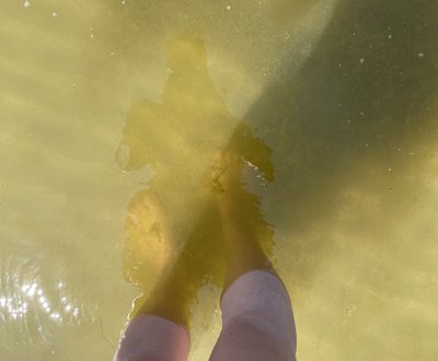 Мутная вода на пляже Пирита