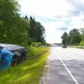 FOTOD | Viljandimaal põhjustas teed ületanud pardipere liiklusõnnetuse