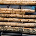 Закрывается лесопильный завод в Пярнумаа. Несколько десятков человек потеряют работу