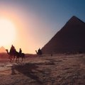Египет запустил электронную форму декларации здоровья пассажиров