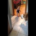 BEEBIVIDEO: koer õpetab beebit!