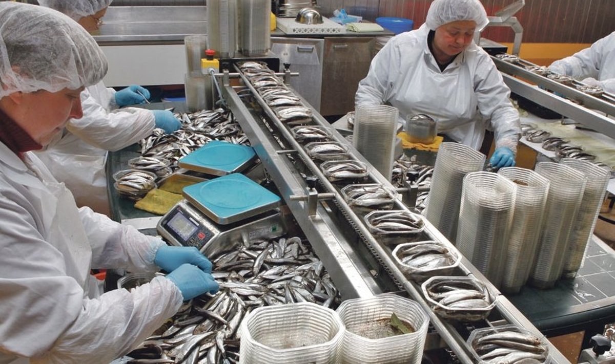 AS DGM Shipping, mis varem  pani rõhku vaid külmutatud kala  ekspordile, on viimastel aastatel asunud toodete valmistamisele kohapeal ning investeerinud  unikaalsetesse masinatesse.