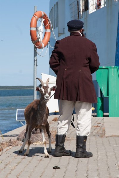 Hiiumaa legendile – vanamehele ja kitsele – püstitati pronkskuju