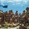 ФОТО | Во Франции открыли подводный музей