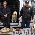 В Кохтла-Ярве на клумбе нашли пакет с боевыми гранатами