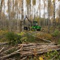 Erametsaomanikud ei pea puiduturul üksinda riskima
