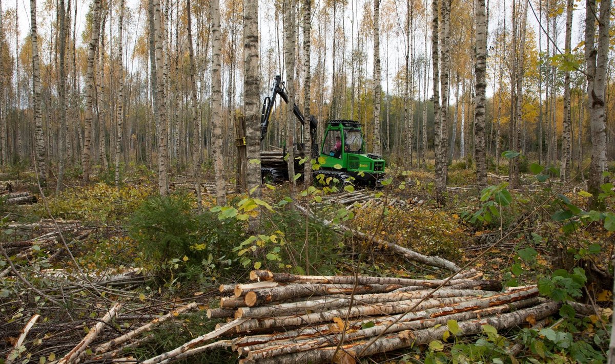Erametsaomanikul, kes pidevalt metsamajandamisega ei tegele, on lihtsam ja soodsam puitu müüa ühistute kaudu.