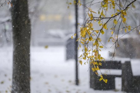 Esimene lumi võib Ida-Eestisse saabuda juba neljapäeval. Lumekruupe võib aga mujal eestis näha juba homsest.