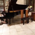ВИДЕО: Анастасия Коваленко сыграла на рояле во время приема в Ратуше