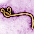 USA haigla valmistub ebolasse nakatunud abitöötaja vastuvõtuks