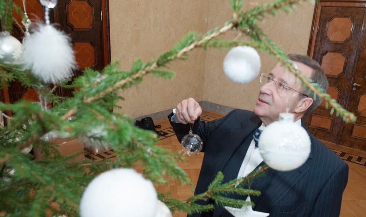 President Toomas Hendrik Ilves ehib jõulukuuske
