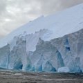 Экспедиция в царство льдов: Airbnb предлагает бесплатно съездить в Антарктиду