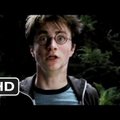 Mis peavalu vaevab Harry Potterit? Arstiteadus püüab vastata
