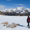 Альпы потеряют треть своих ледников к 2050 году