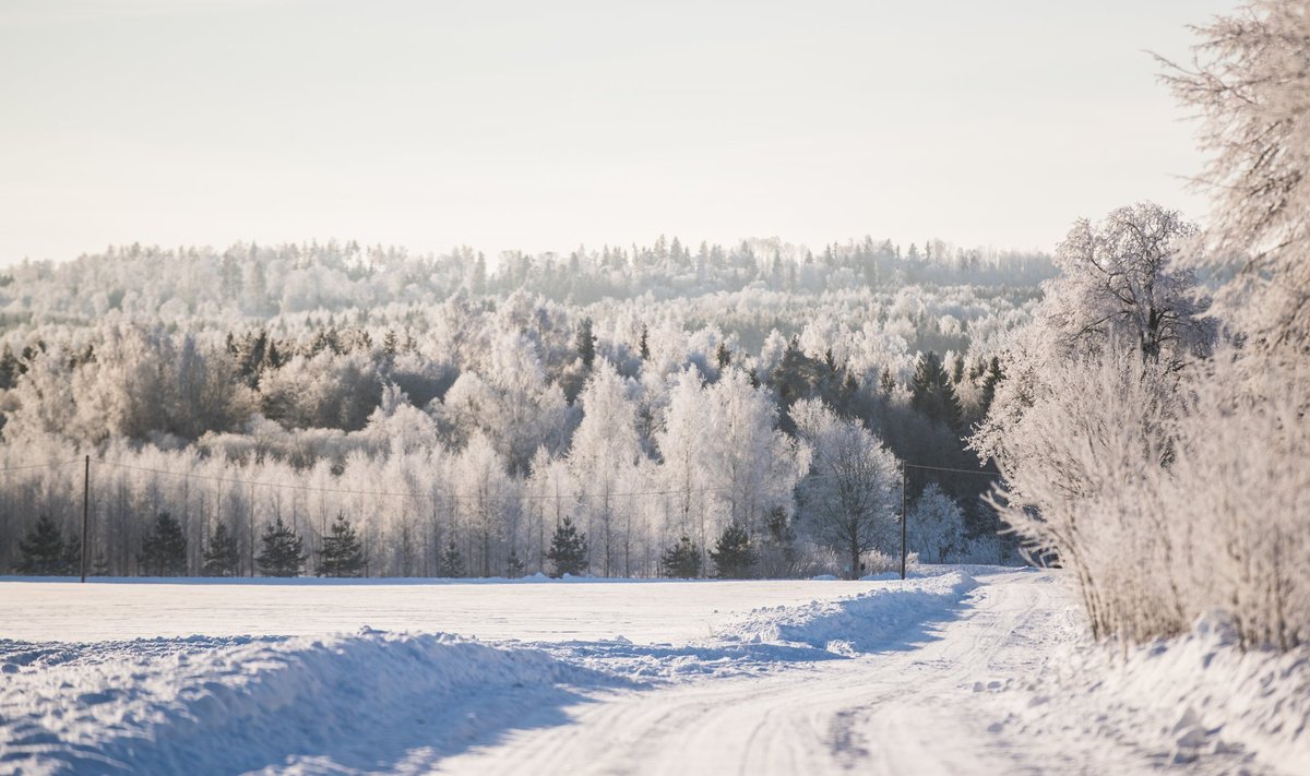 Talvine Lõuna-Eesti.