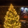 ФОТО: Самая высокая рождественская елка столицы расположена на площади Компасси