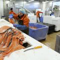 Vene veterinaarametnikud teevad taas kontrollreide Eesti kalatööstustesse