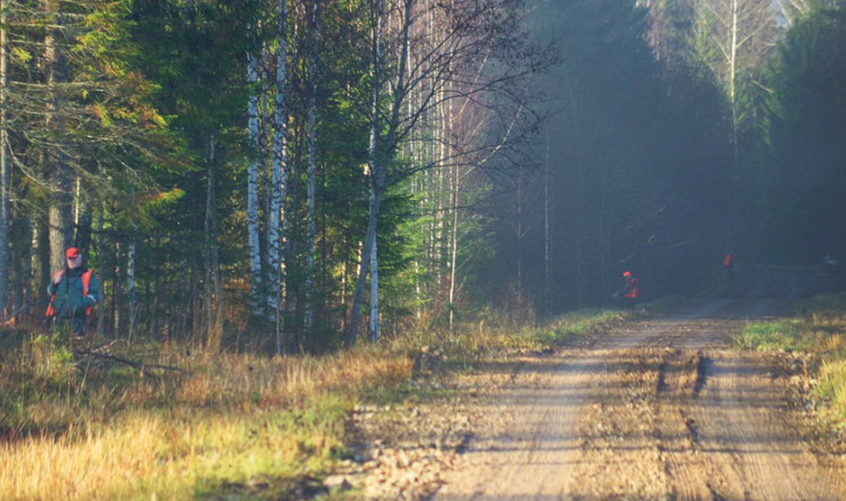 Novembri esimese  nädalavahetuse väidetav hiilimisjaht Ida-Virumaal. Keskkonna- inspektsiooni hinnangul osutus see  sisuliselt ajujahiks.