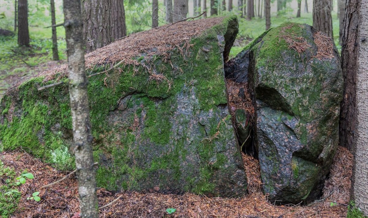 Üks tükkideks lagunenud kivi, mis algselt oli ilmselt samuti püsti seisnud. Püstiasendis olnuks tal kõrgust ca kolm meetrit. 