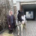 ФОТОНОВОСТЬ | Возле Таллиннского университета замечена лошадь