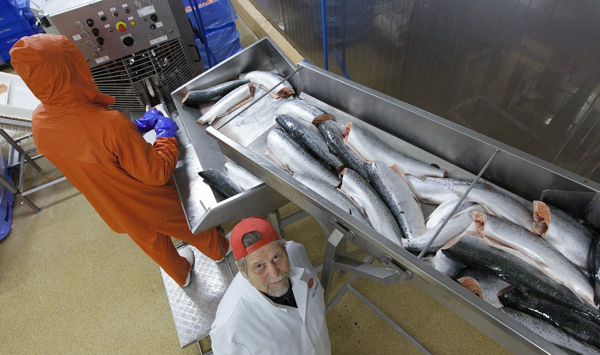 OTSITE VALEST KOHAST! Mati Vetevool (punase nokkmütsiga) on rääkinud ametnikele, et listeeria­bakterid saabuvad Eestisse Soomest ja Norrast sisse ostetud kaladega. Hädade allikas asub välismaal.