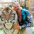 Tiger Kingi loomaaed suleti: minu vastu suunatakse valesid süüdistusi