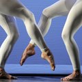 Koolikiusaja süüdistab balletikooli aastaid kestnud dedovštšinas