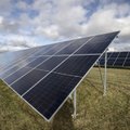 Kohalikud tootjad ei suuda enam konkurentsis püsida: Euroopat vallutavad odavad Hiina päikesepaneelid