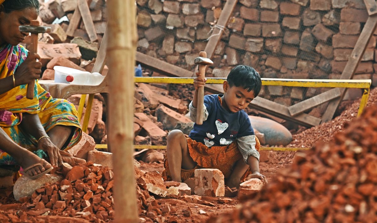 Uus seadus kohustab ettevõtteid tagama, et nende tegevusahelas ei kasutata lapstööjõudu.