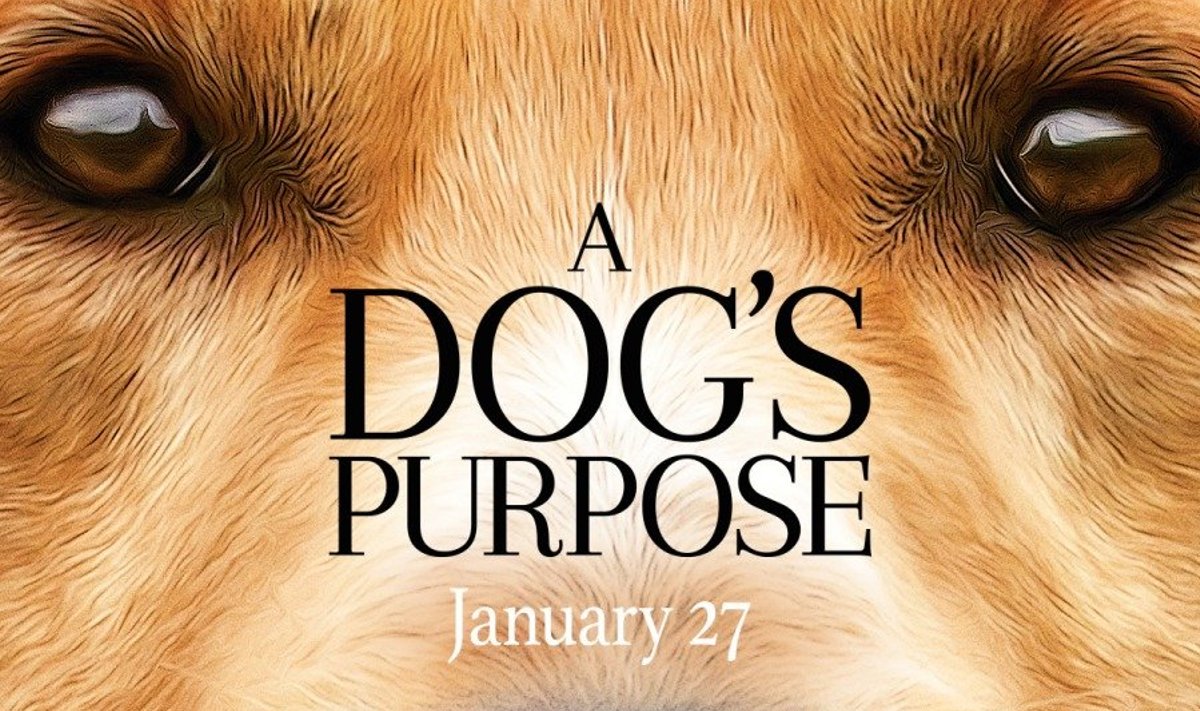 "A Dog's Purpose"