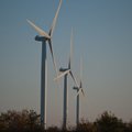 Tuulepargiettevõtted koonduvad