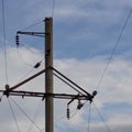 VKG Elektrivõrgud alandab Konkurentsiameti ettekirjutuse alusel Ida-Virumaal võrgutasusid