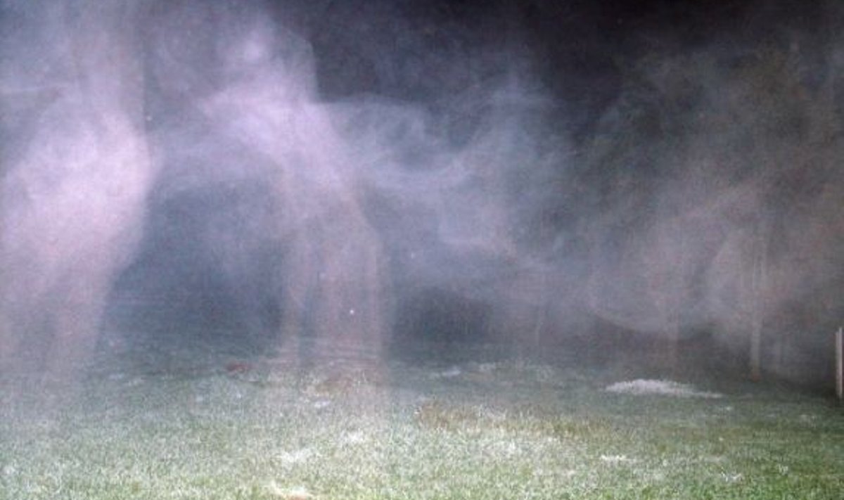 Kummituslik udu. Foto: repro