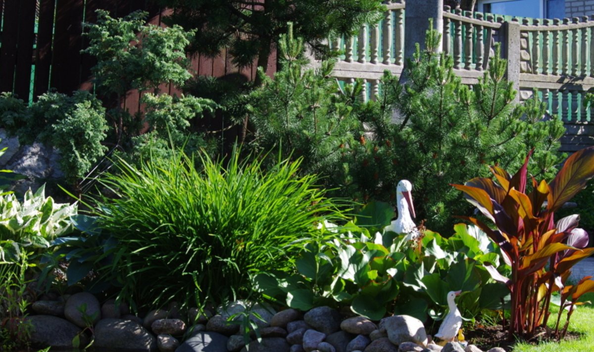 Minu kodu suvel: Enda kujundatud aed loob hea tunde