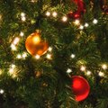 Как провести Рождество, чтобы, принеся елку в дом, самому потом не переехать жить под елку?