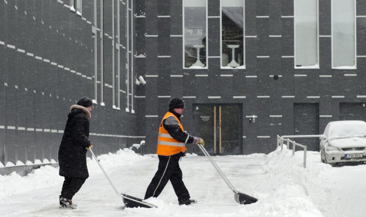 Lumi Tallinnas