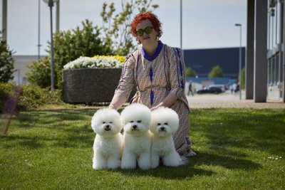 Janita J. Plungė ja Tauro Kennel käharakarvalised bichonid Euroopa meistrivõistlustel Taanis