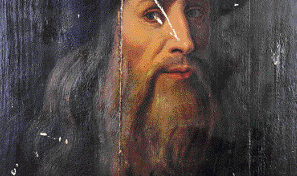 Kui Itaalia erakogust leitud maali autorsus on kaheldav, siis maalitu on kindlatel andmetel da Vinci. 