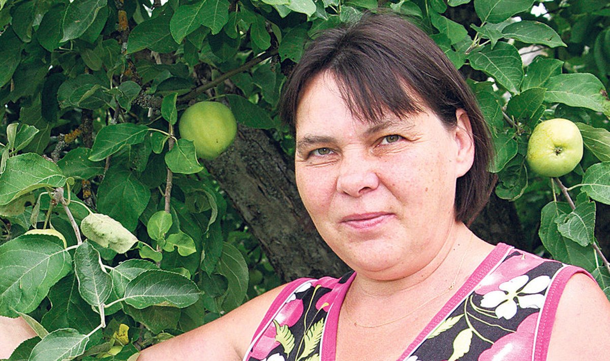 Tartumaal elaval Evi Jaagol on õunapuud vilju täis. Naine muretseb aga, et põud võib saagi ära rikkuda.