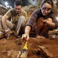 Esimene pihukirves on arvatust 300 000 aastat vanem