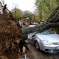 ФОТО: Ураган "Герварт" привел к жертвам и разрушениям в Европе