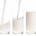 Tuleviku pärast muretsevad piimatootjad kutsuvad inimesi üles piima tarbima