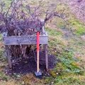 Kohila elanik avastas, et tema aiamaa muutub peagi hoopis parklaks